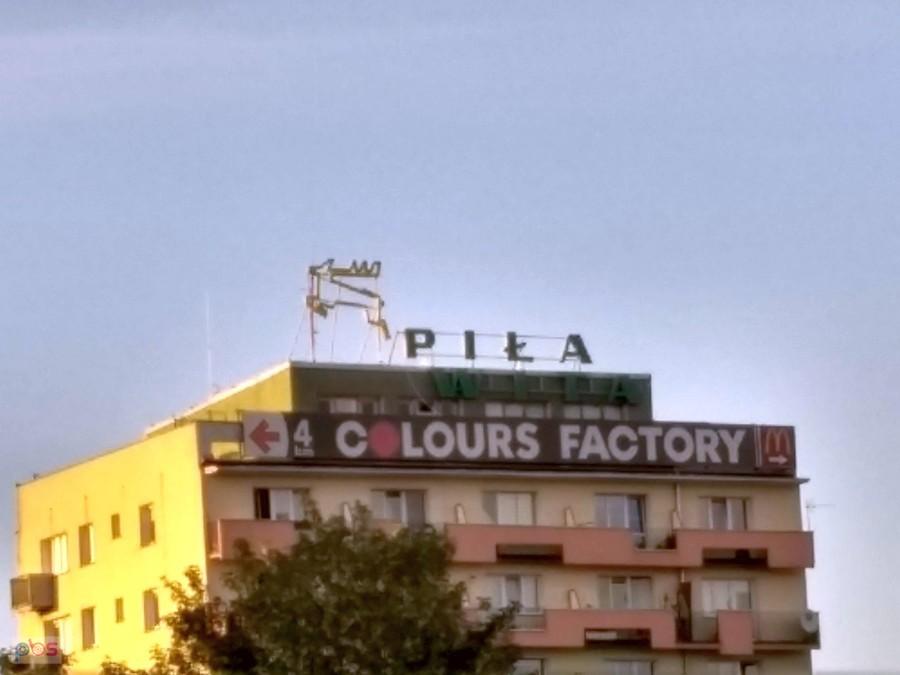 Piła wita jeleni