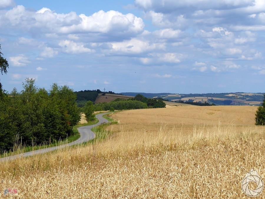 wężowa droga gdzieś za Wisłokiem