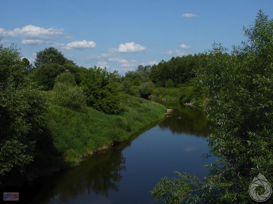 Wisłok jest niebieski i czasami czysty