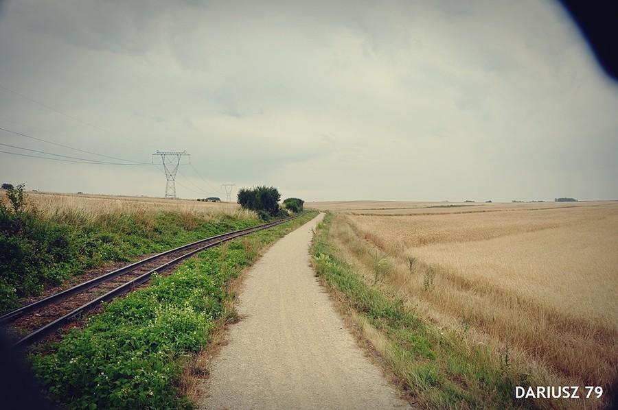 Jędrzejów - Droga rowerowa wzdłuż kolejki wąskotorowej