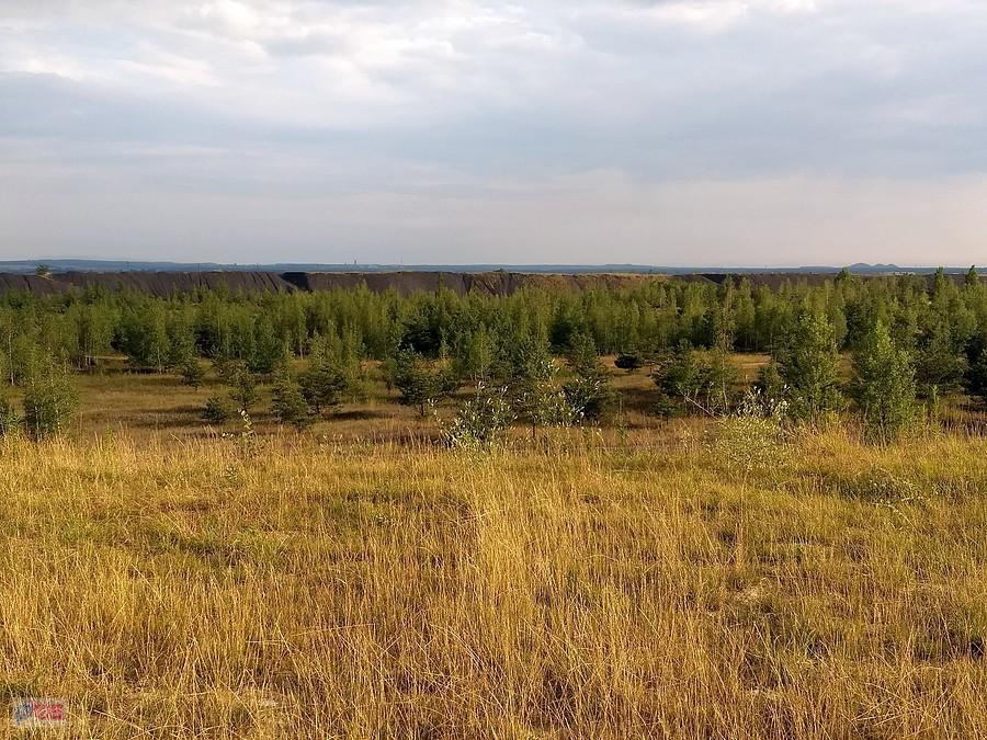 Widok z hałdy