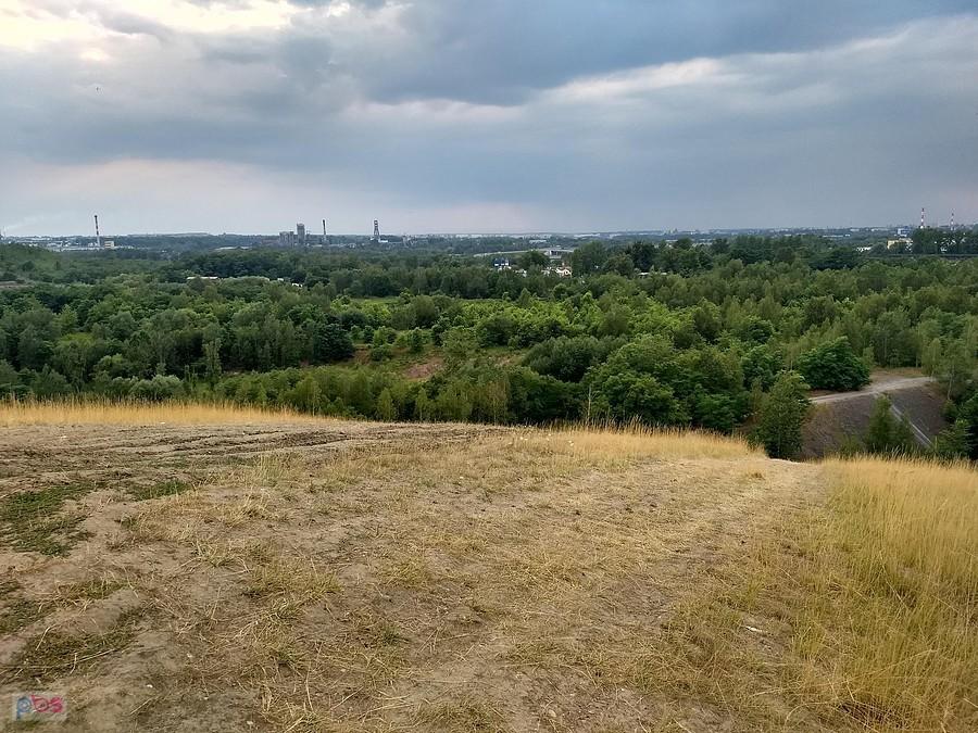 Jest pięknie i zielono