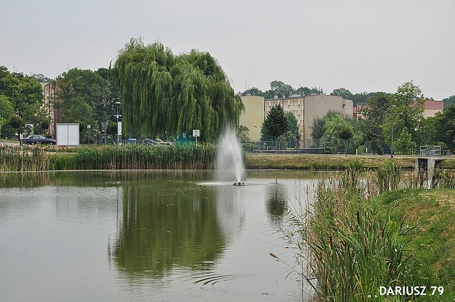 Busko Zdrój - Staw Niemiecki