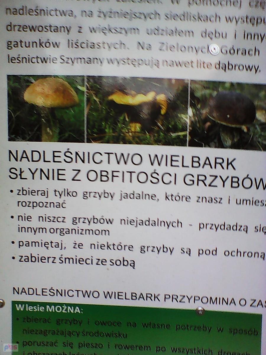 Tablica na leśnym parkingu.
