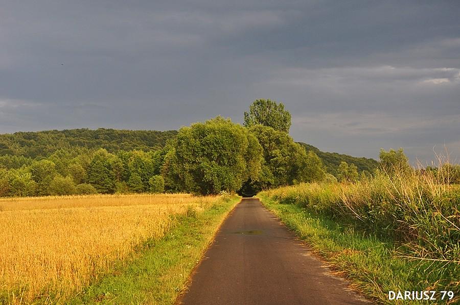 Podłeże w cieniach zachodu słońca