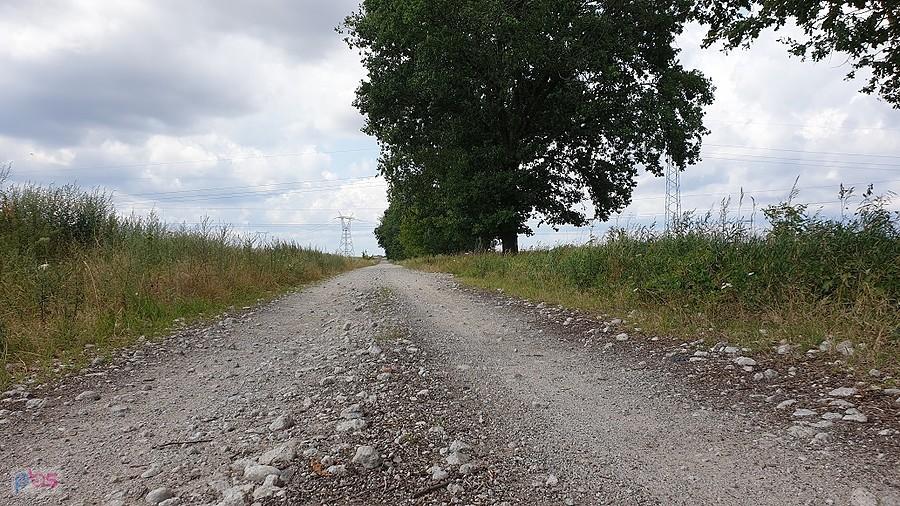 Droga z Grabowa do Małkocina.