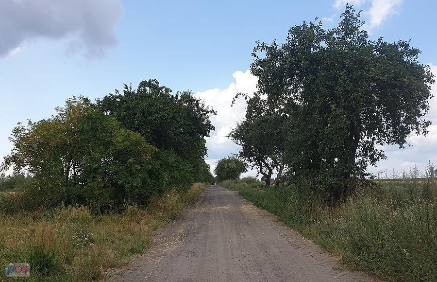 Droga z Klępina do Lubowa