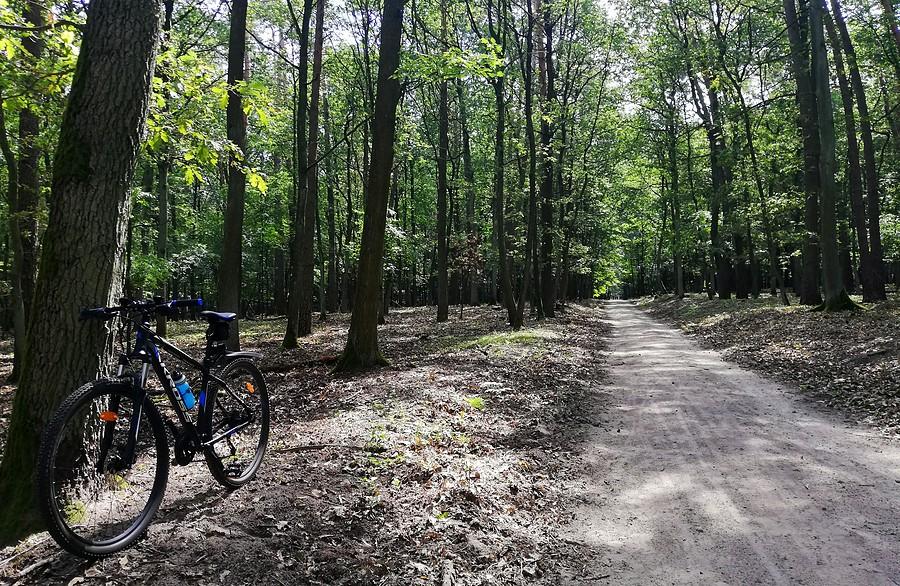 Cywilizowany kawałek - Wielkopolski Park Narodowy