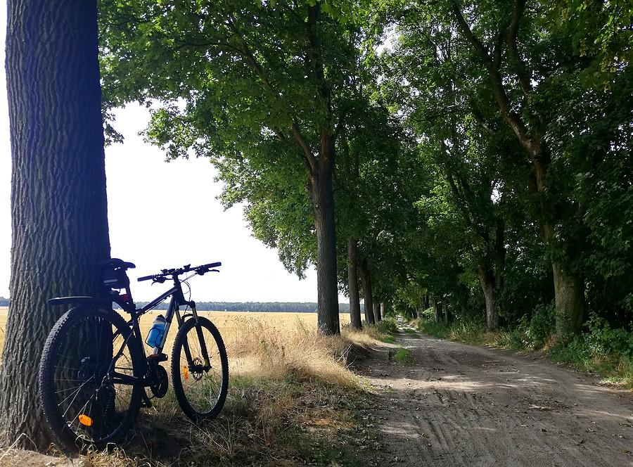 Koło piaskownicy - Wielkopolski Park Narodowy