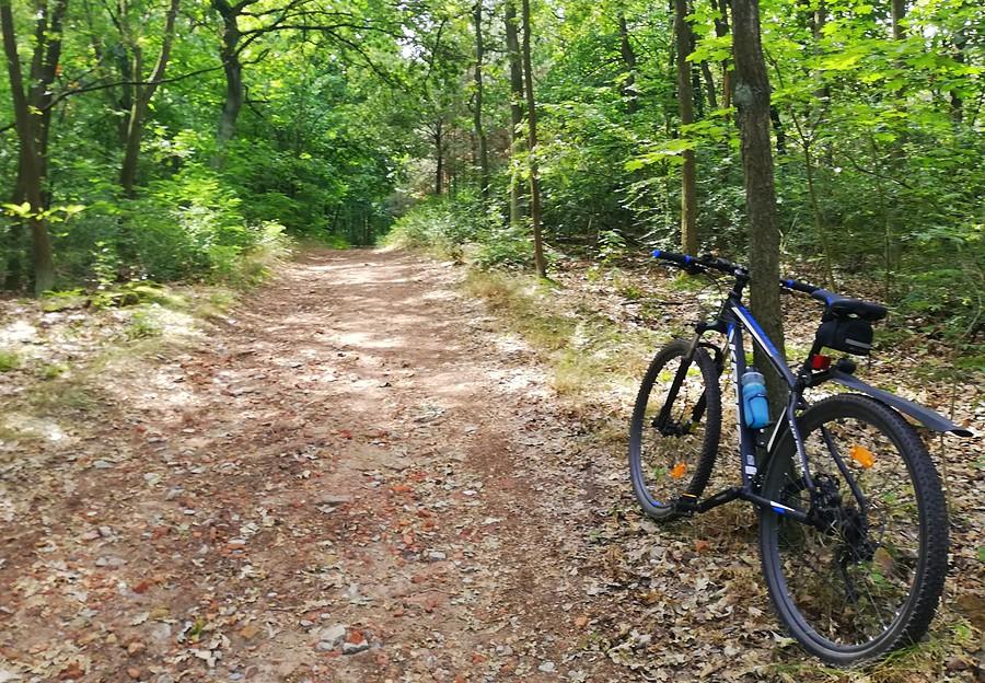 Hopka miniaturka - Wielkopolski Park Narodowy