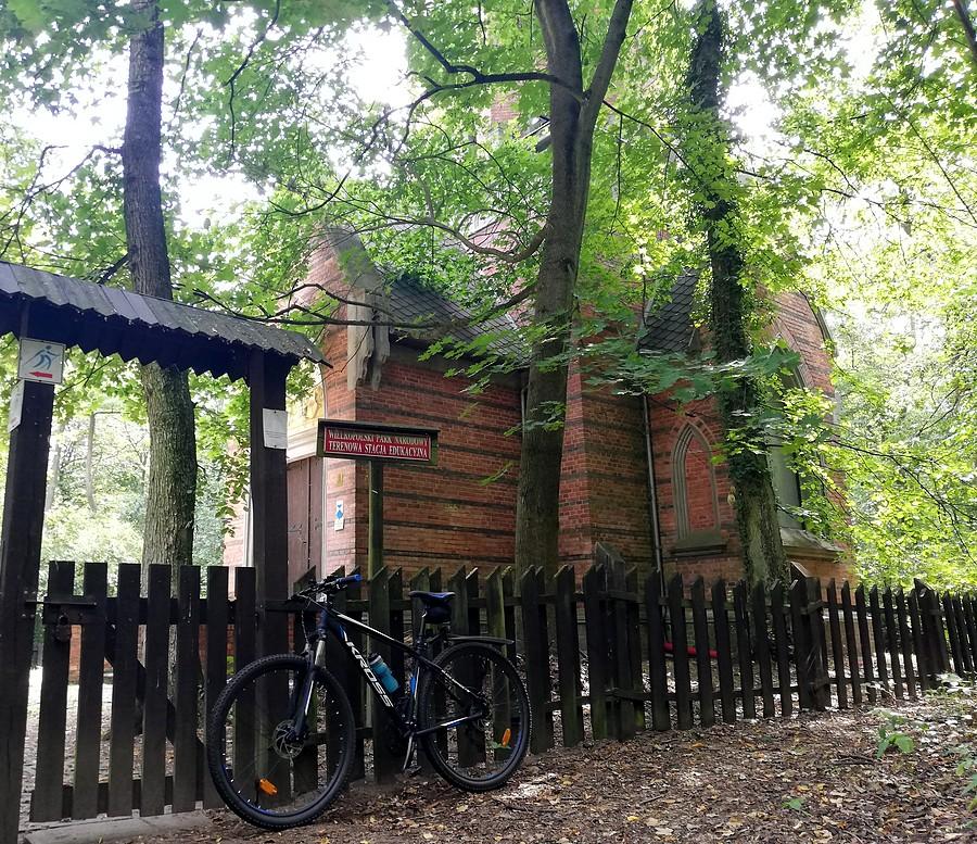 Wieża widokowa w Szreniawie, zakaz wstępu gratis - Wielkopolski Park Narodowy