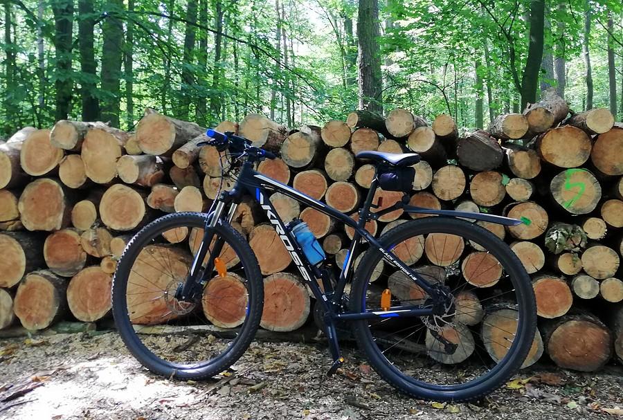 Fajnie, że jest podpórka, szkoda, że taka - Wielkopolski Park Narodowy