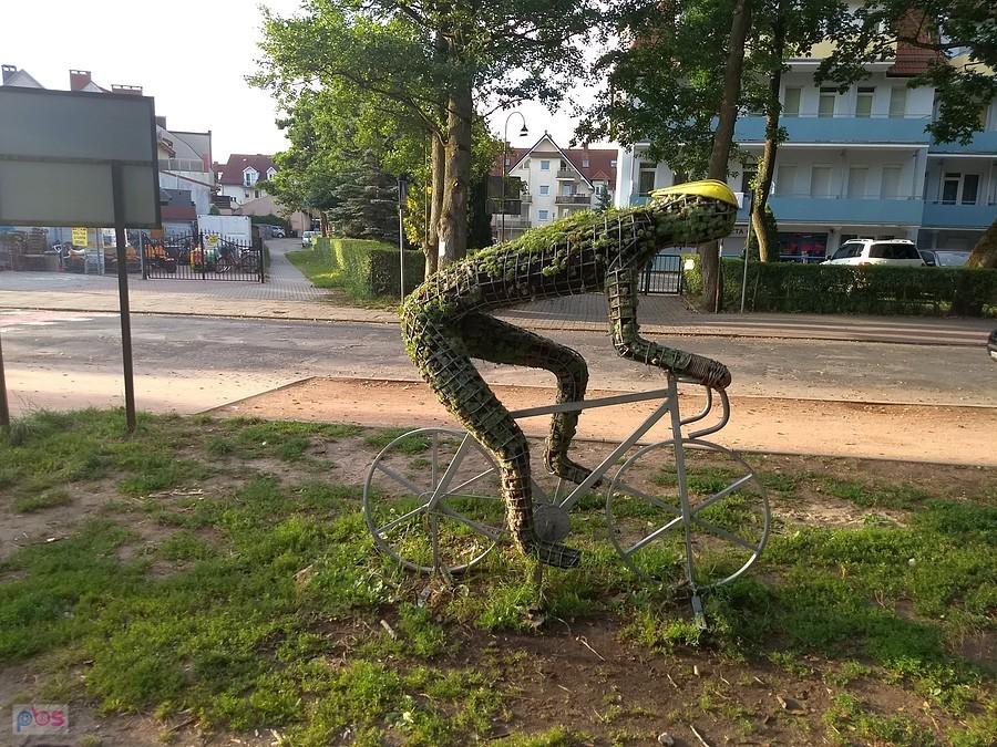 A może jednak na rower