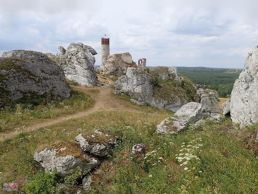 Zamek od tyłu