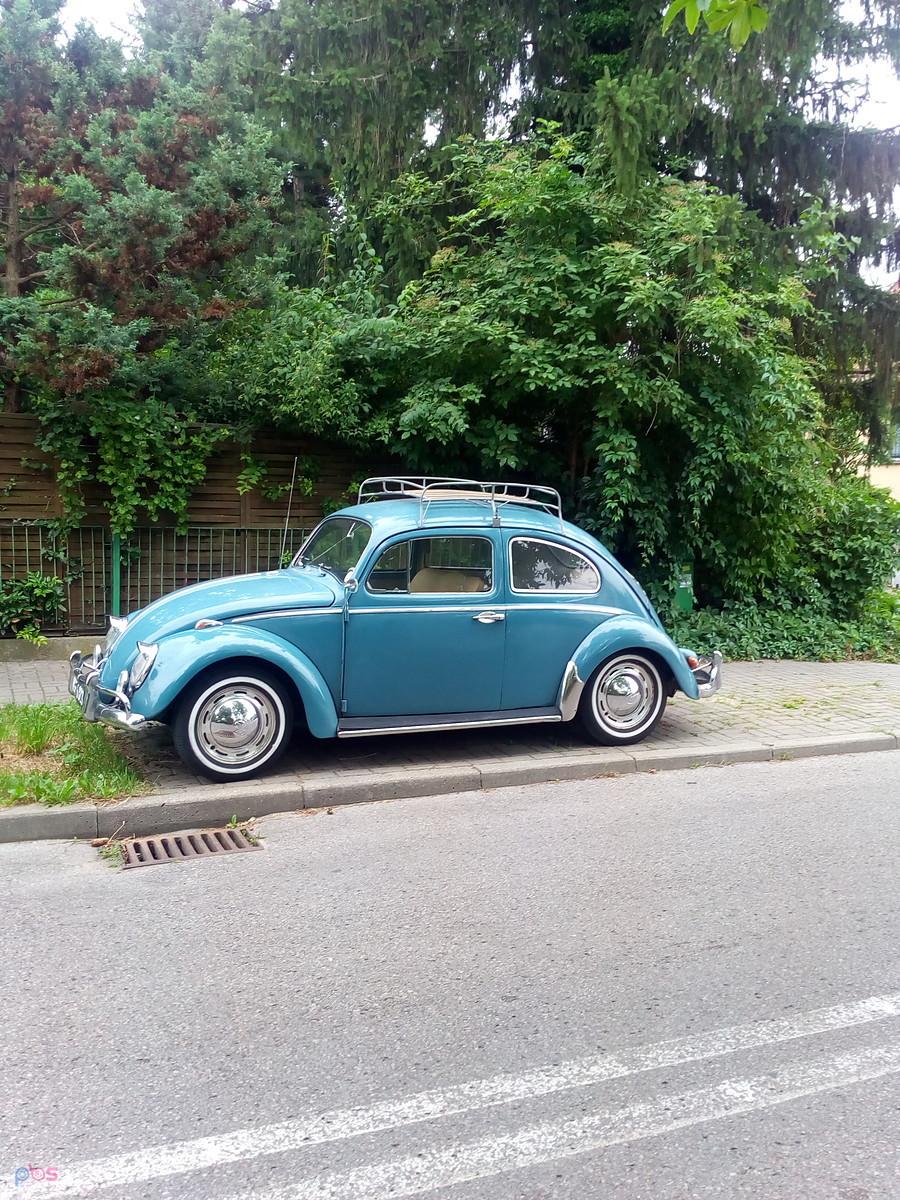 Garbus i to na chodzie..