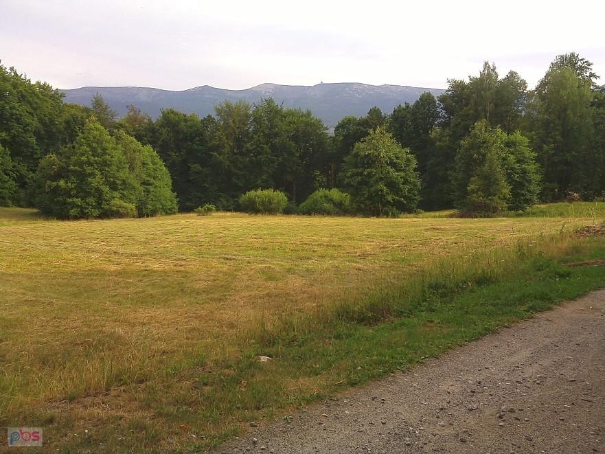 Panorama na "ulicy" Ludowej *-*