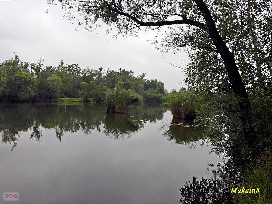 Stawy w Rajsku