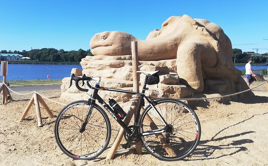 Żółw olbrzymi - Poznań Sand Festival
