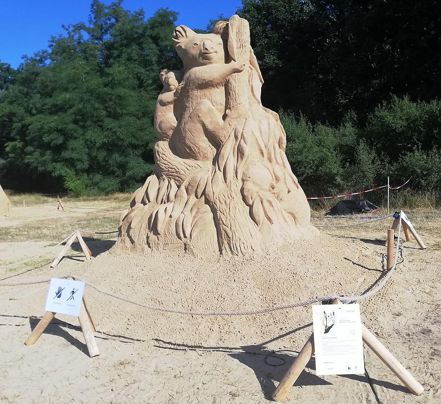 Koala-cjanci - Poznań Sand Festival