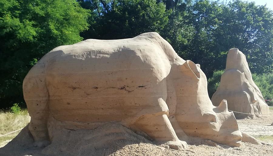 Nosorożec - Poznań Sand Festival