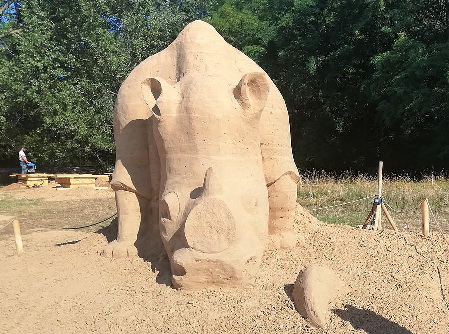 Do nosorożca podejście drugie, smutniejsze - Poznań Sand Festival