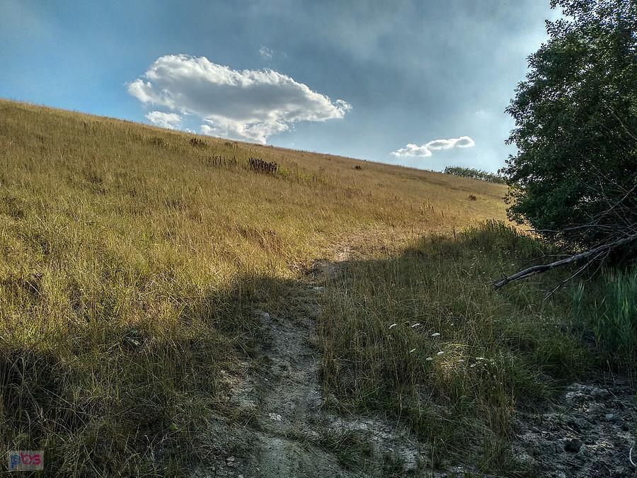Trochę wąska ścieżka