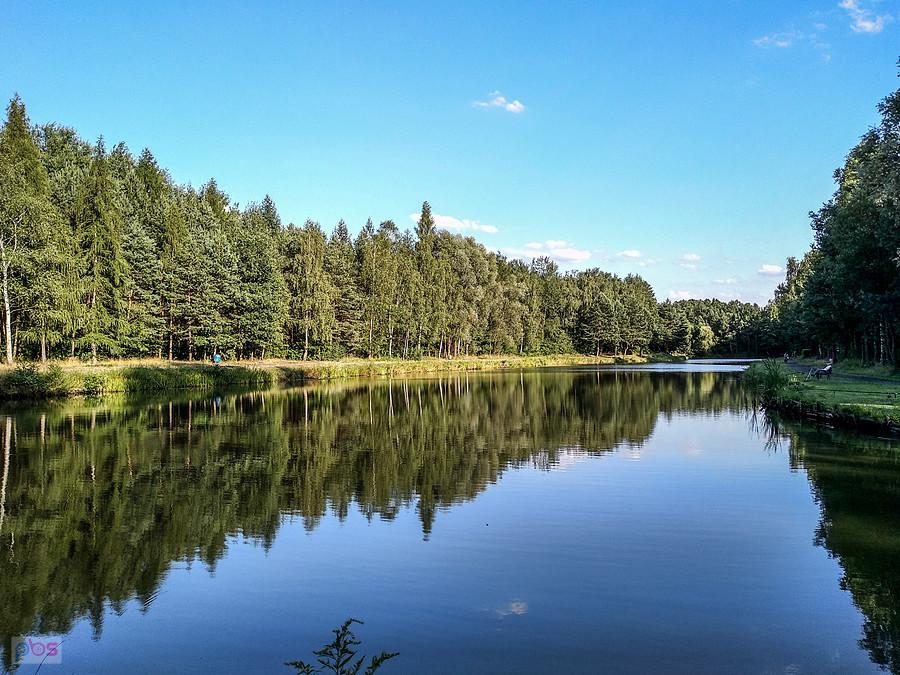 Staw Kiszka na Halembie