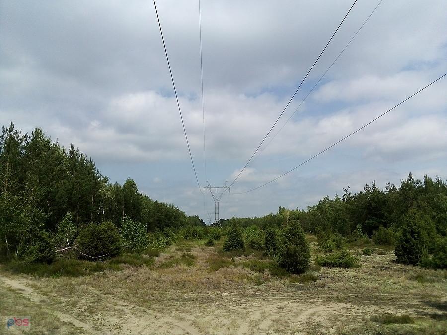 Na rozstaju dróg
