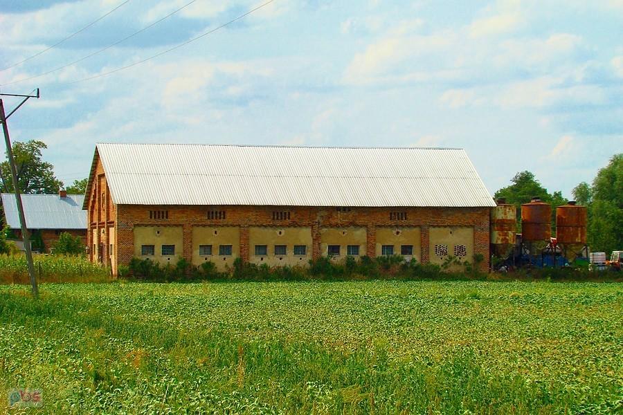 Budynek dawnej owczarni w pobliżu Retkowa.
