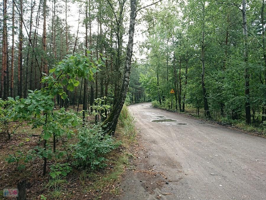 Kampinos