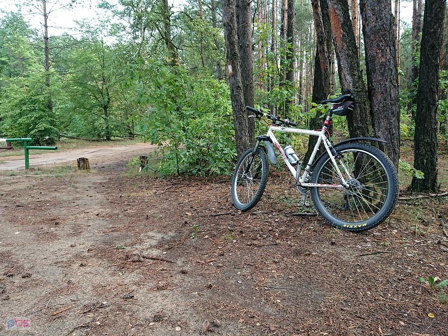 Kampinos