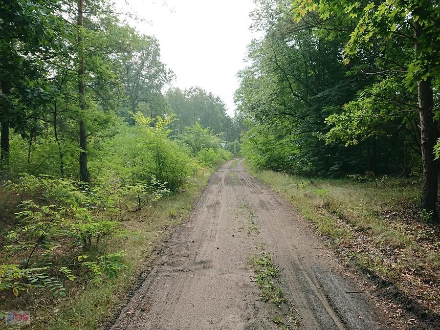 Kampinos