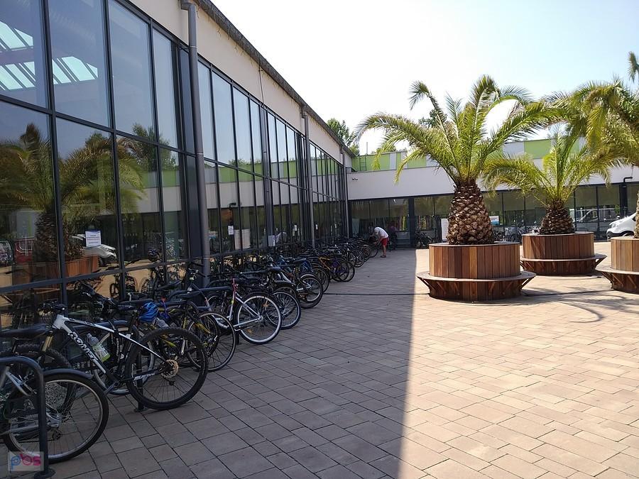 Fala Zdrowie