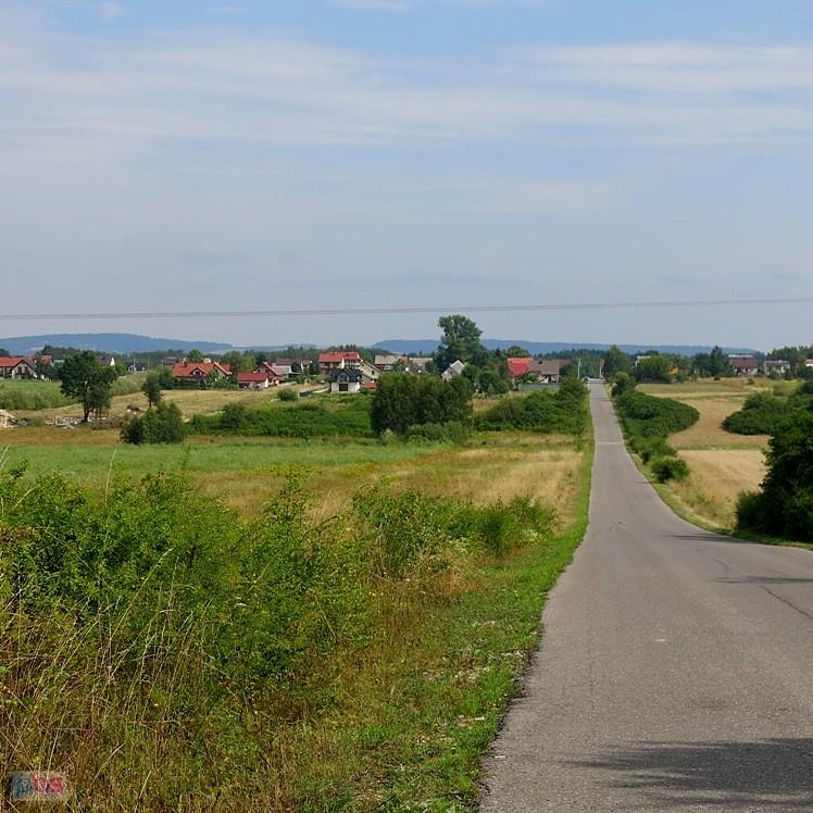 W drodze do Zajączkowa