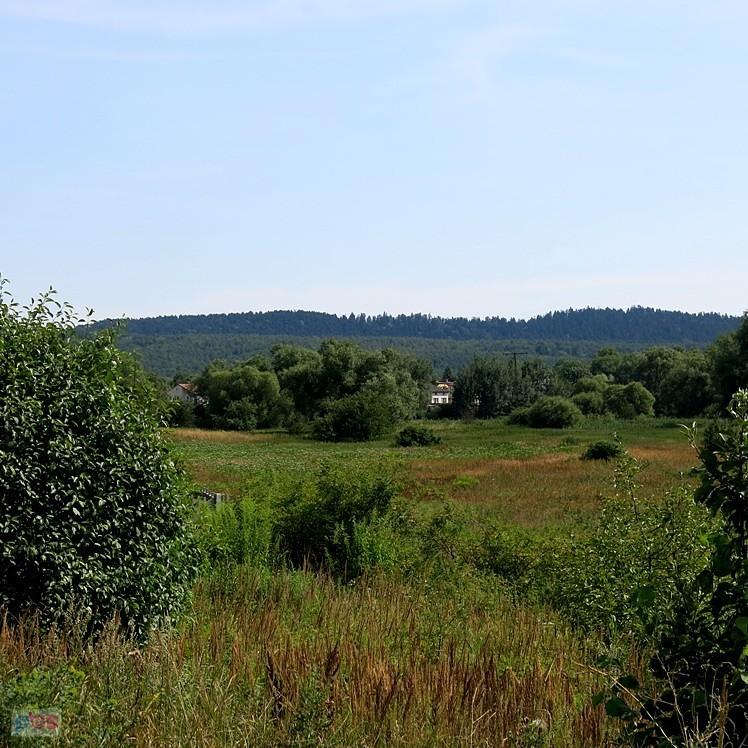 Widok z Green Velo w okolicach Kielc