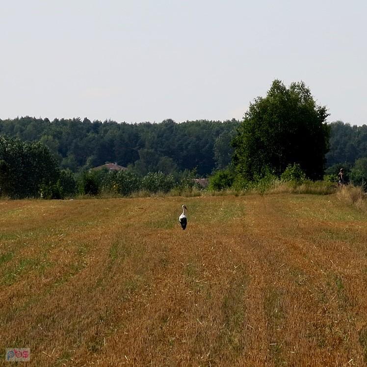 Taki widok nas cieszy