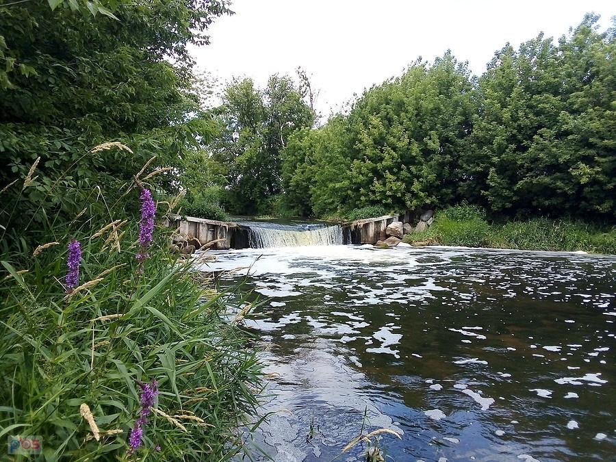 Urokliwa Bzura