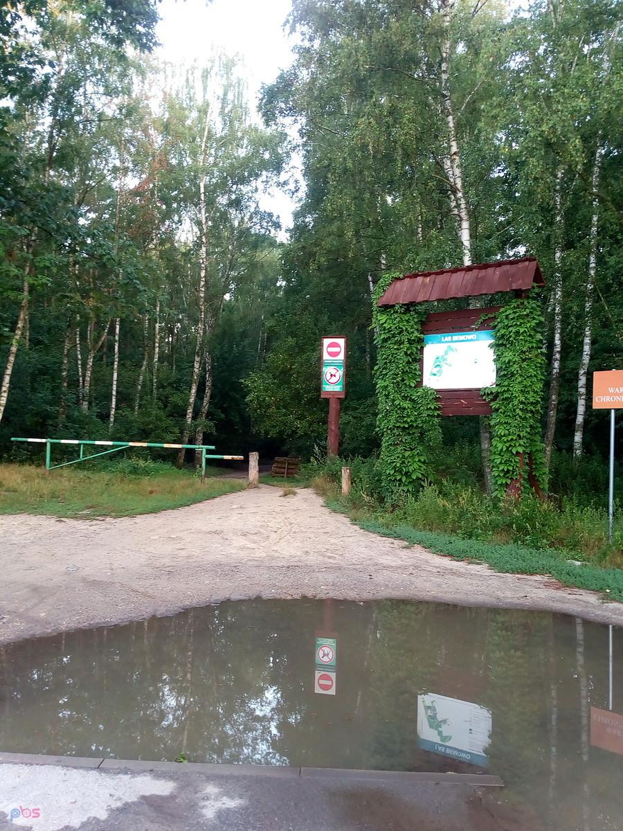 Wreszcie zaczęło częściej i mocniej padać