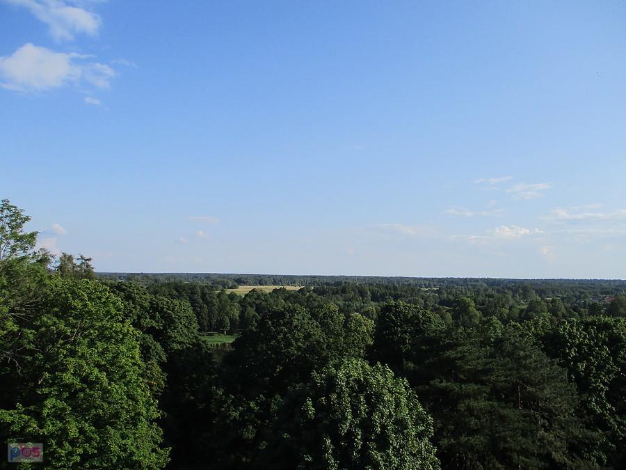 Widok z wieży