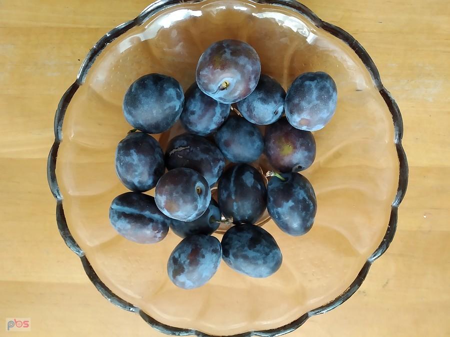 śliwki 2,50zł/kg