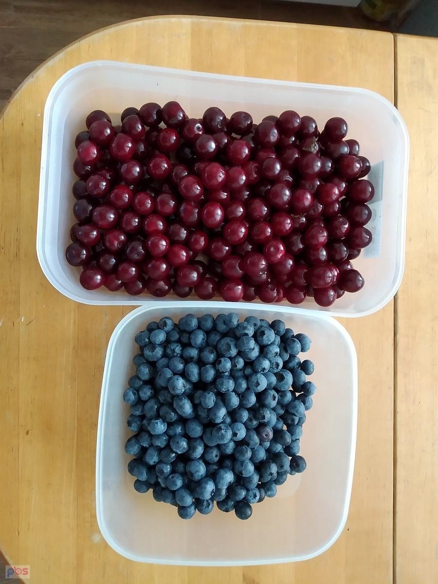 wiśnie 5 zł, borówy 14/kg