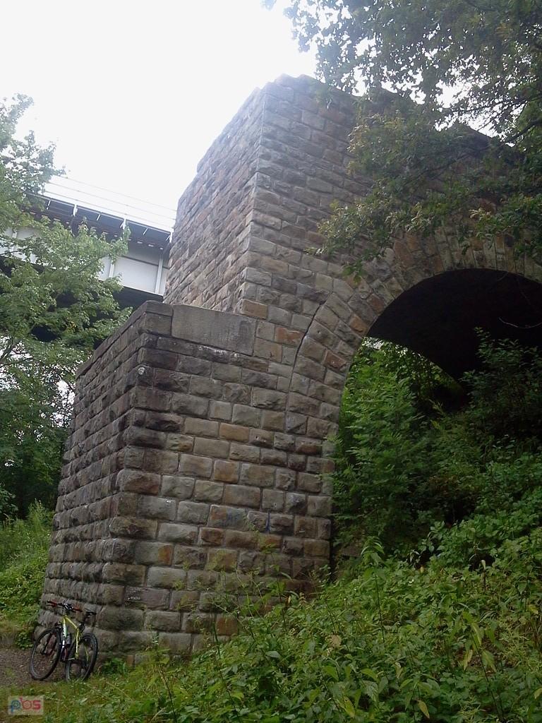 Olbrachcice