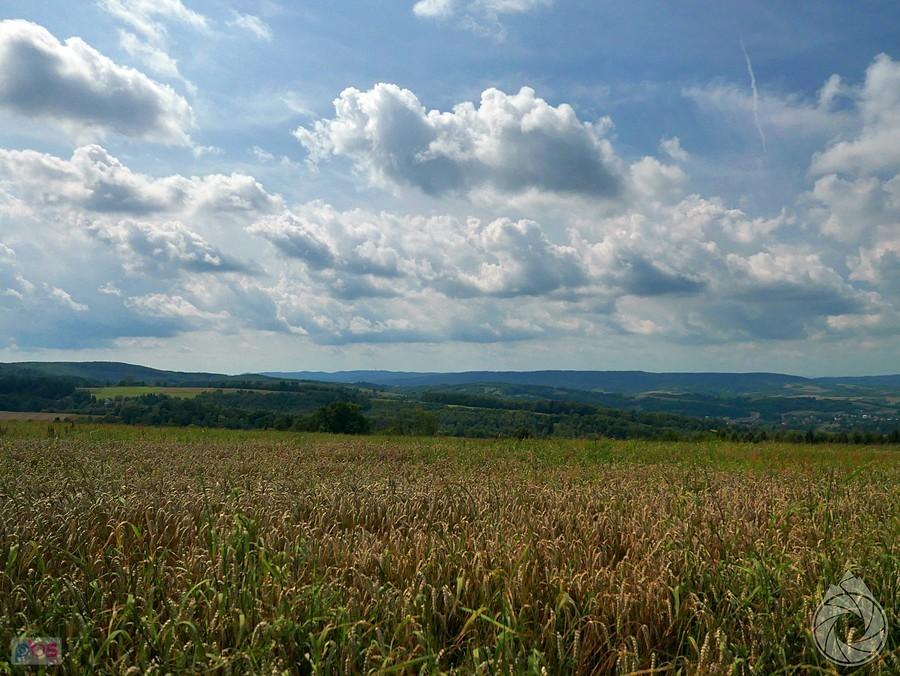 nad Połomią i widoki na Pogórze Strzyżowskie