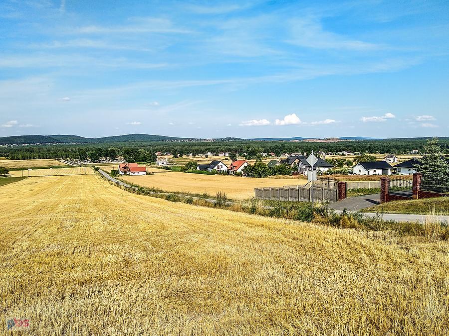 Dookoła pola