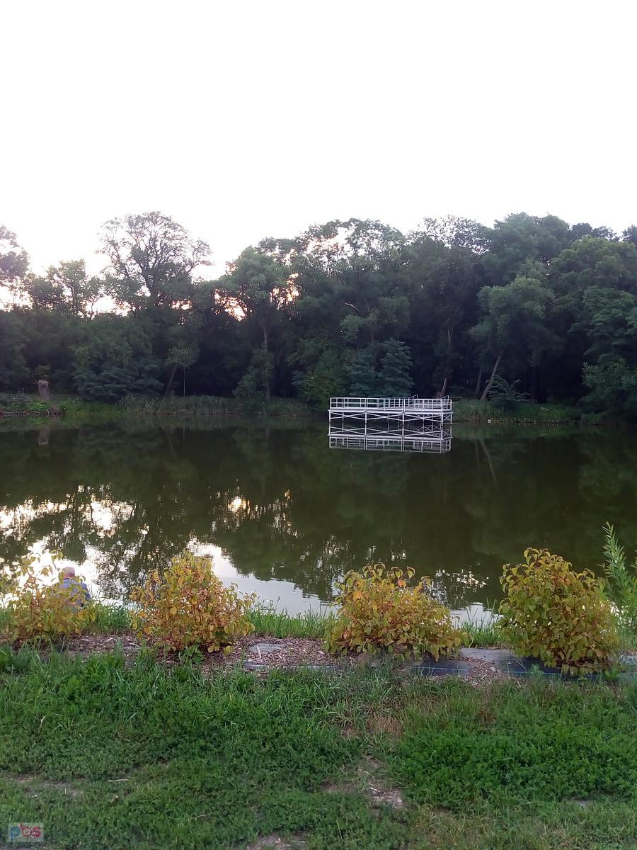 Staw w Ołtarzewie