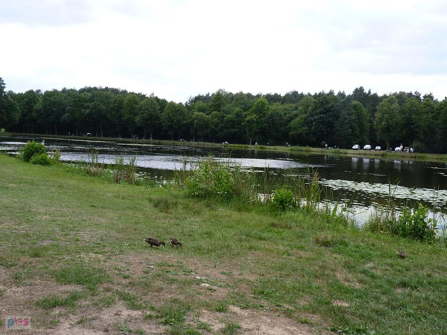 widok ogólny