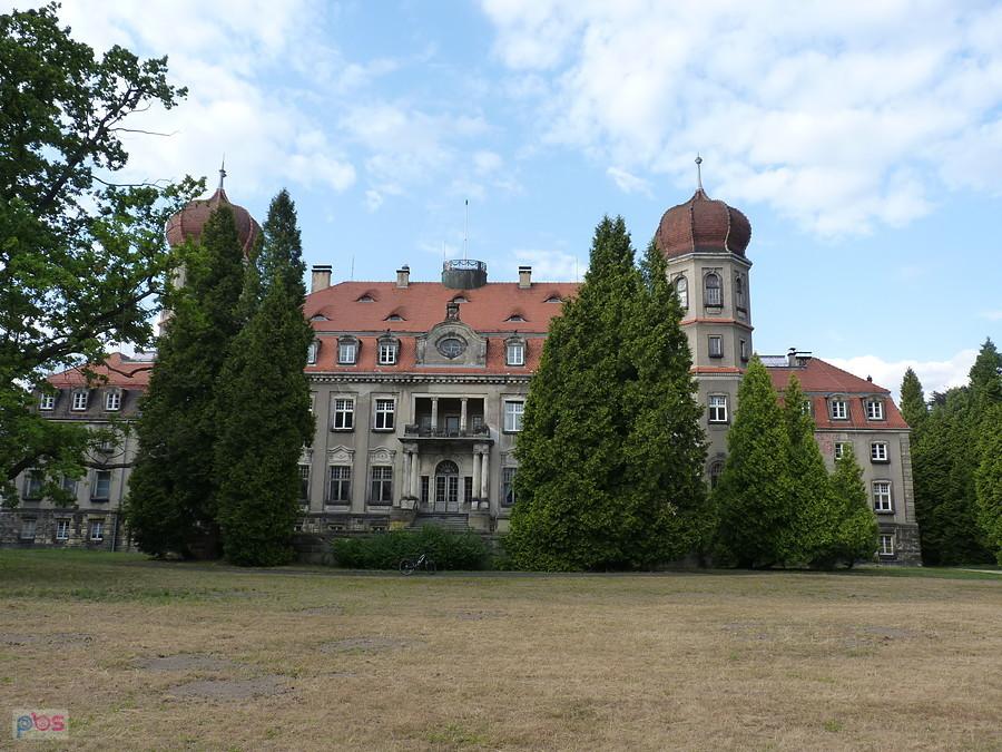będzie rewitalizacja parku przy pałacu