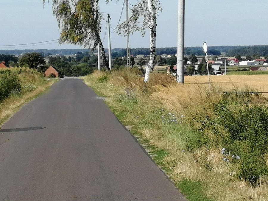 Jelitów i widok na Ostrów Wielkopolski.