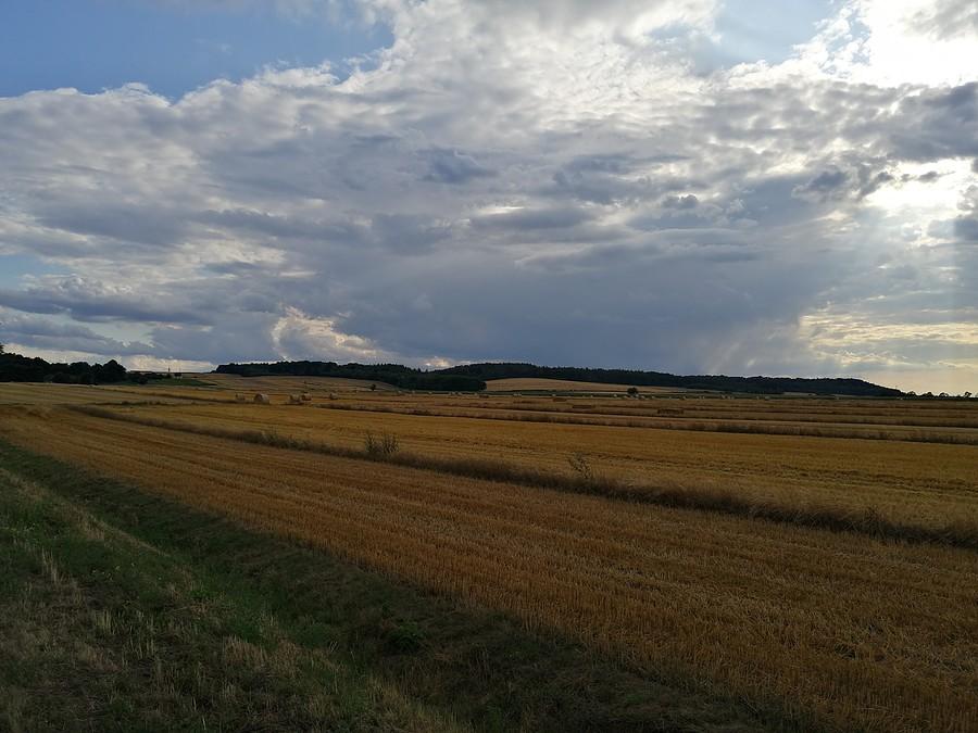 Już niedaleko do Góry Św. Anny. Pomału rysują się delikatne pagórki.