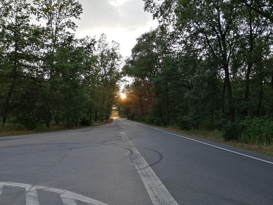 Słońce przebijające się przez konary drzew za Kędzierzynem.